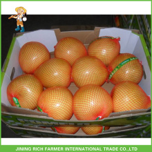 New Arrival Top Quality Fresh Pomelo For Export